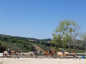 tour personalizzati abruzzo casa vacanze mare montagna