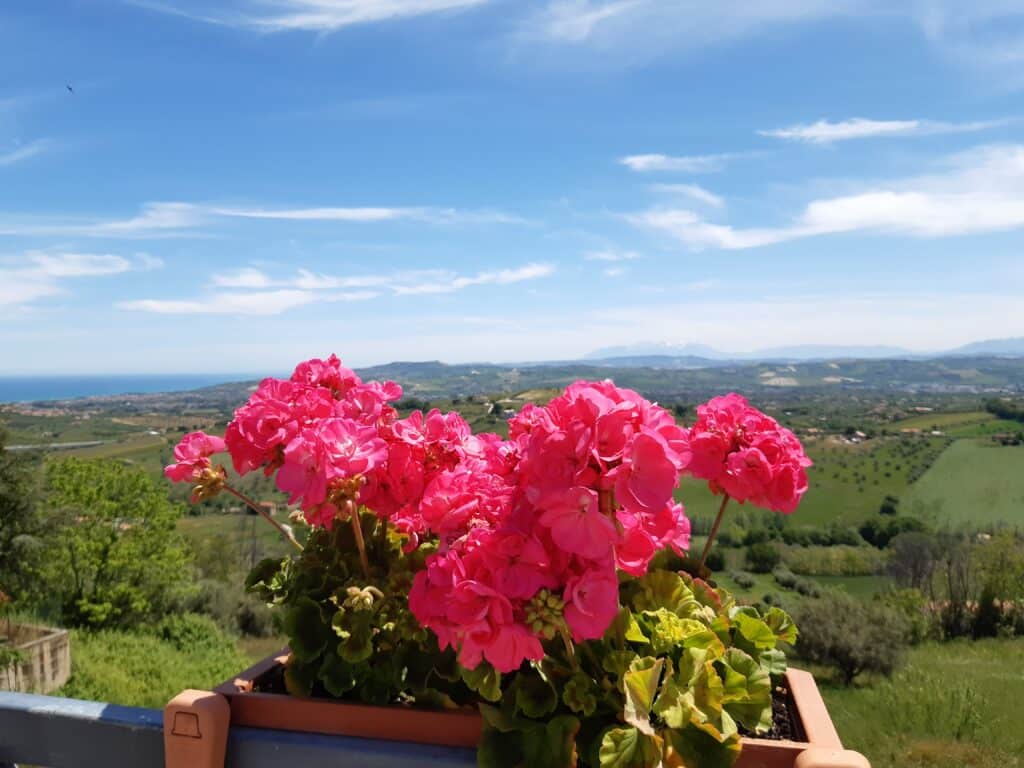 tour personalizzati abruzzo casa vacanze mare montagna