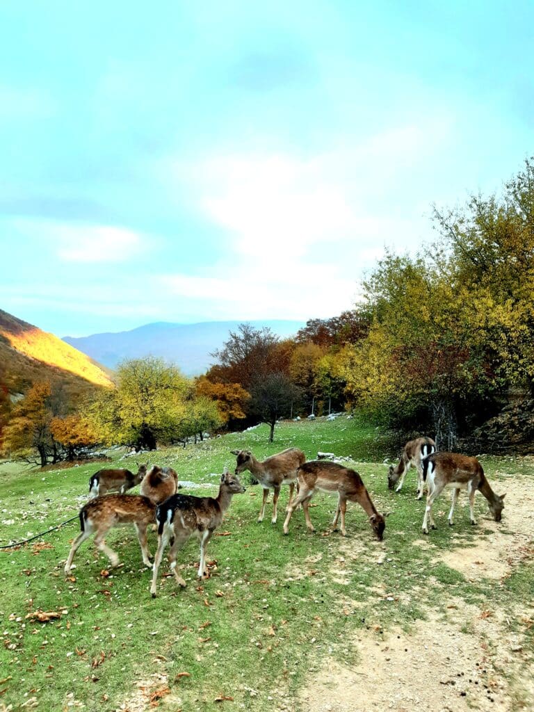 tour personalizzati abruzzo casa vacanze mare montagna
