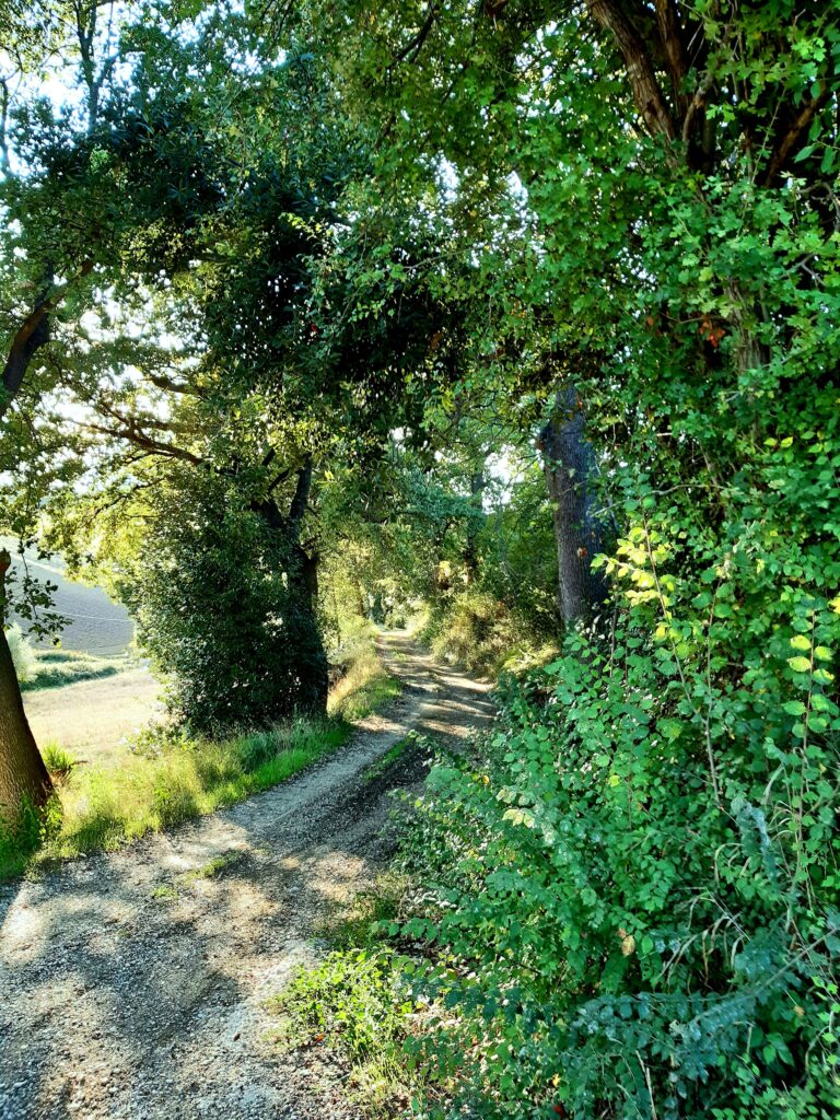 tour personalizzati abruzzo casa vacanze mare montagna
